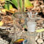 Small image 8