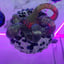 Small image 7