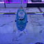 Small image 7