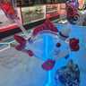Small image 2