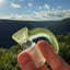 Small image 8