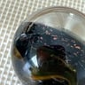 Small image 5