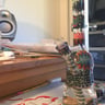 Small image 0