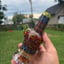 Small image 2