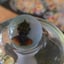 Small image 6