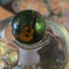 Small image 7