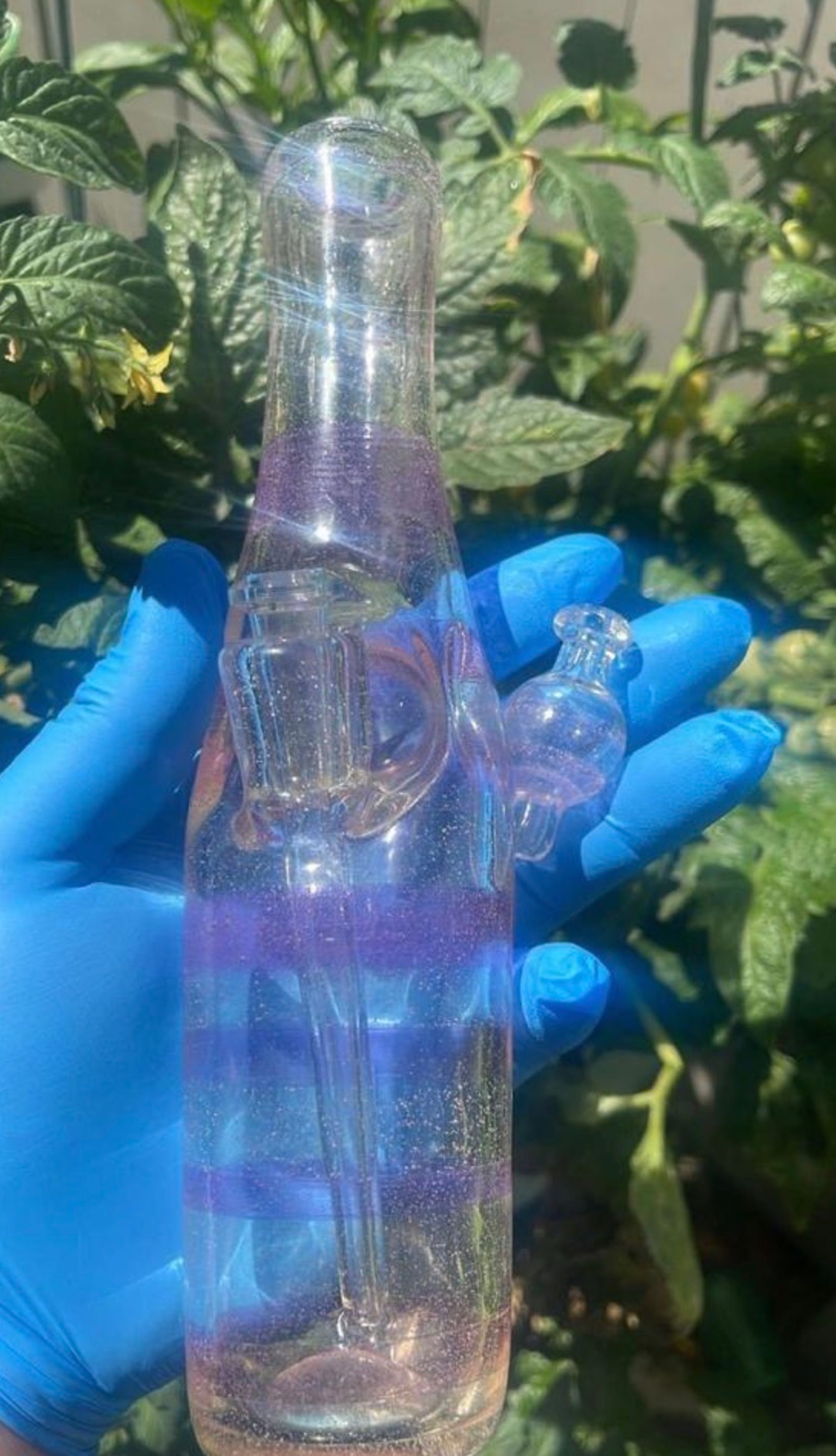 Saki bottle full uv image 0
