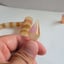 Small image 5