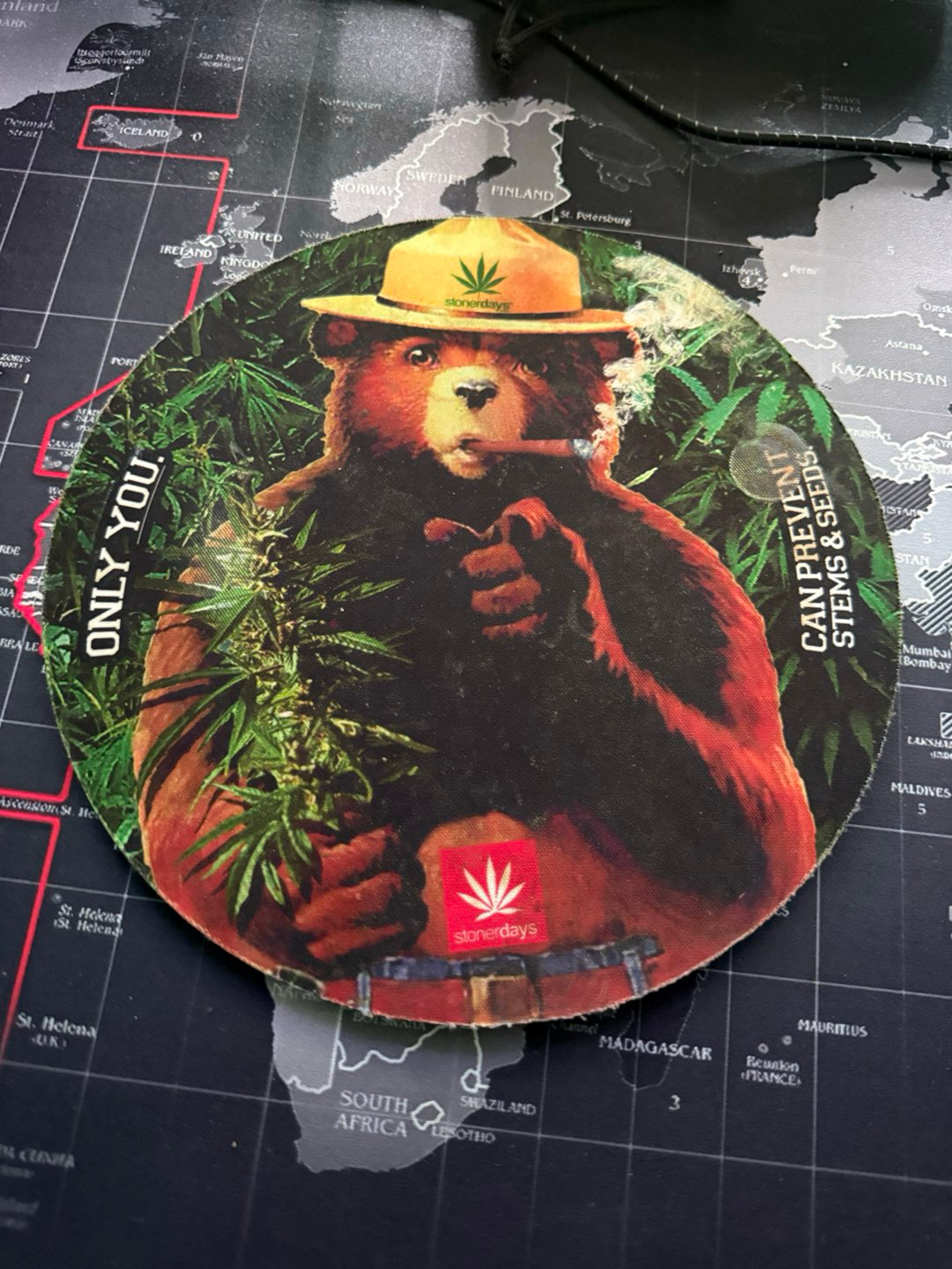 Preview pic of Smokey the bear dab mat