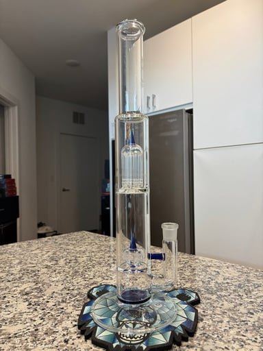 Preview pic of Sovereignty Imp - 8 PA Cobalt Satin