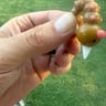 Small image 4