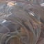 Small image 6