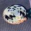 Small image 9