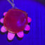 Small image 8