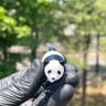 Small image 3