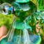 Small image 9