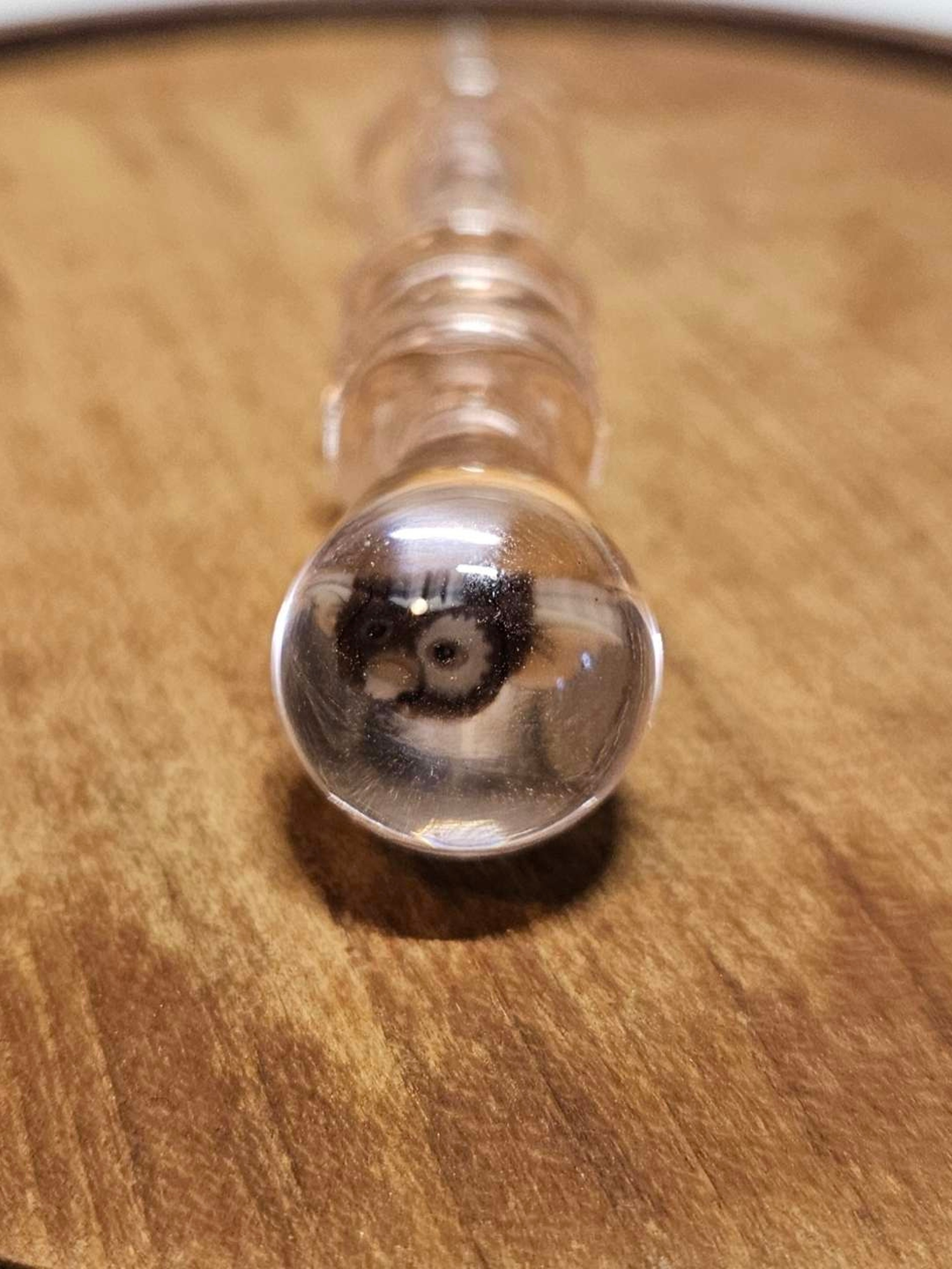 Preview pic of Gizmo Millie dabber