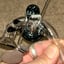 Small image 8