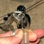 Small image 7