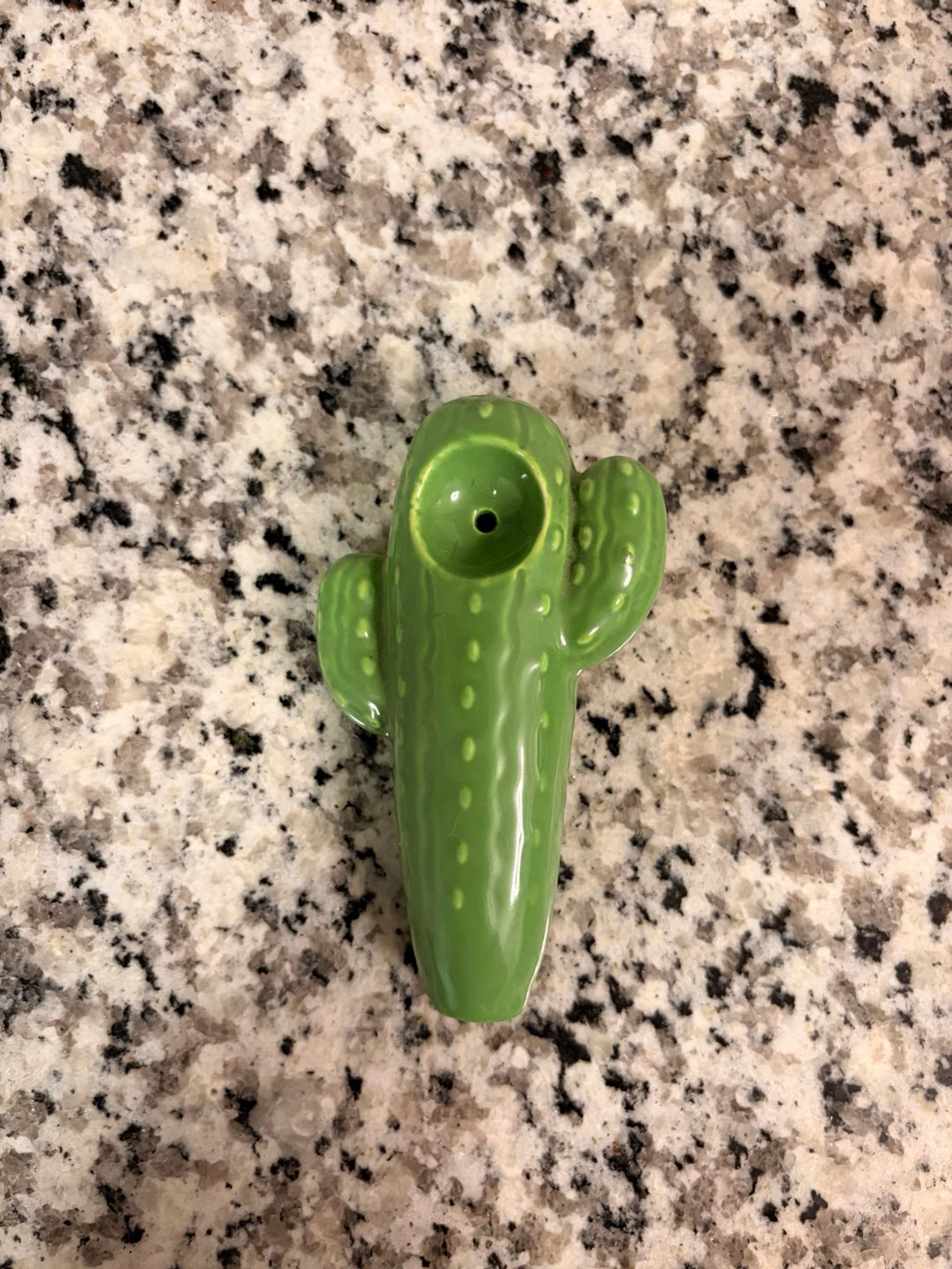 Preview pic of Cactus bowl