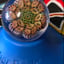 Small image 6