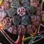 Small image 7