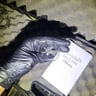 Small image 3