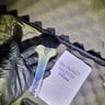 Small image 3