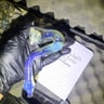 Small image 2