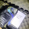 Small image 3