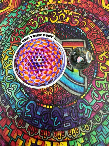 Preview pic of One Trick Pony - Clear Spinner Cap w/ Opal 5