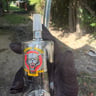 Small image 5