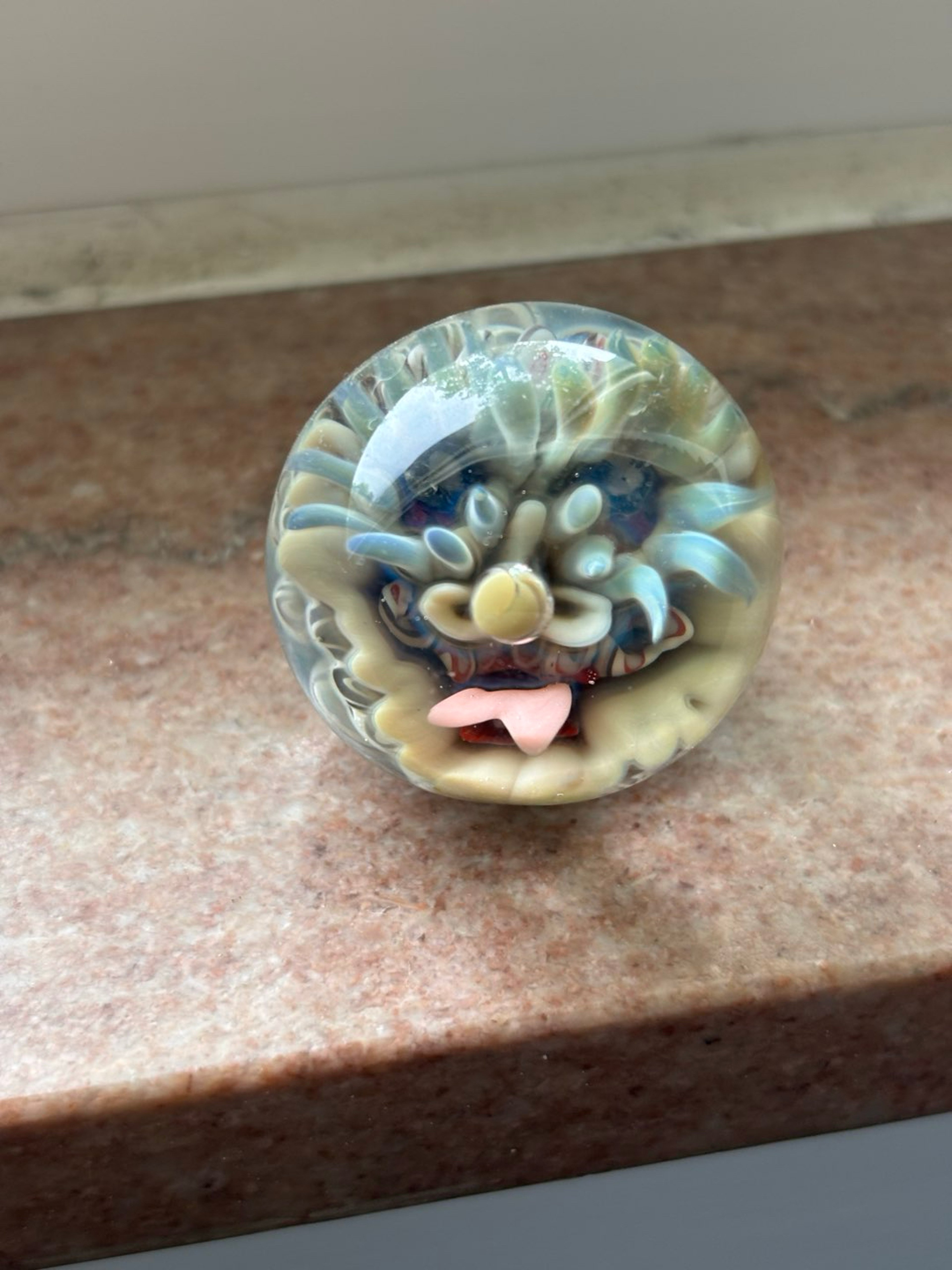 Face compression marble image 0