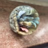 Small image 4