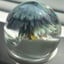 Small image 9