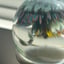 Small image 8