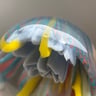 Small image 3