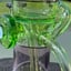 Small image 6