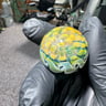 Small image 1