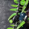 Small image 4