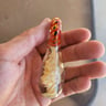 Small image 4