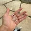 Small image 5