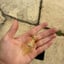 Small image 4