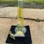 Small image 5