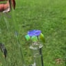 Small image 5