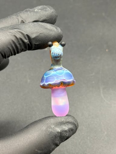 Preview pic of Mushroom traveler