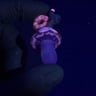 Small image 5