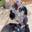 Small image 8