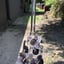 Small image 9