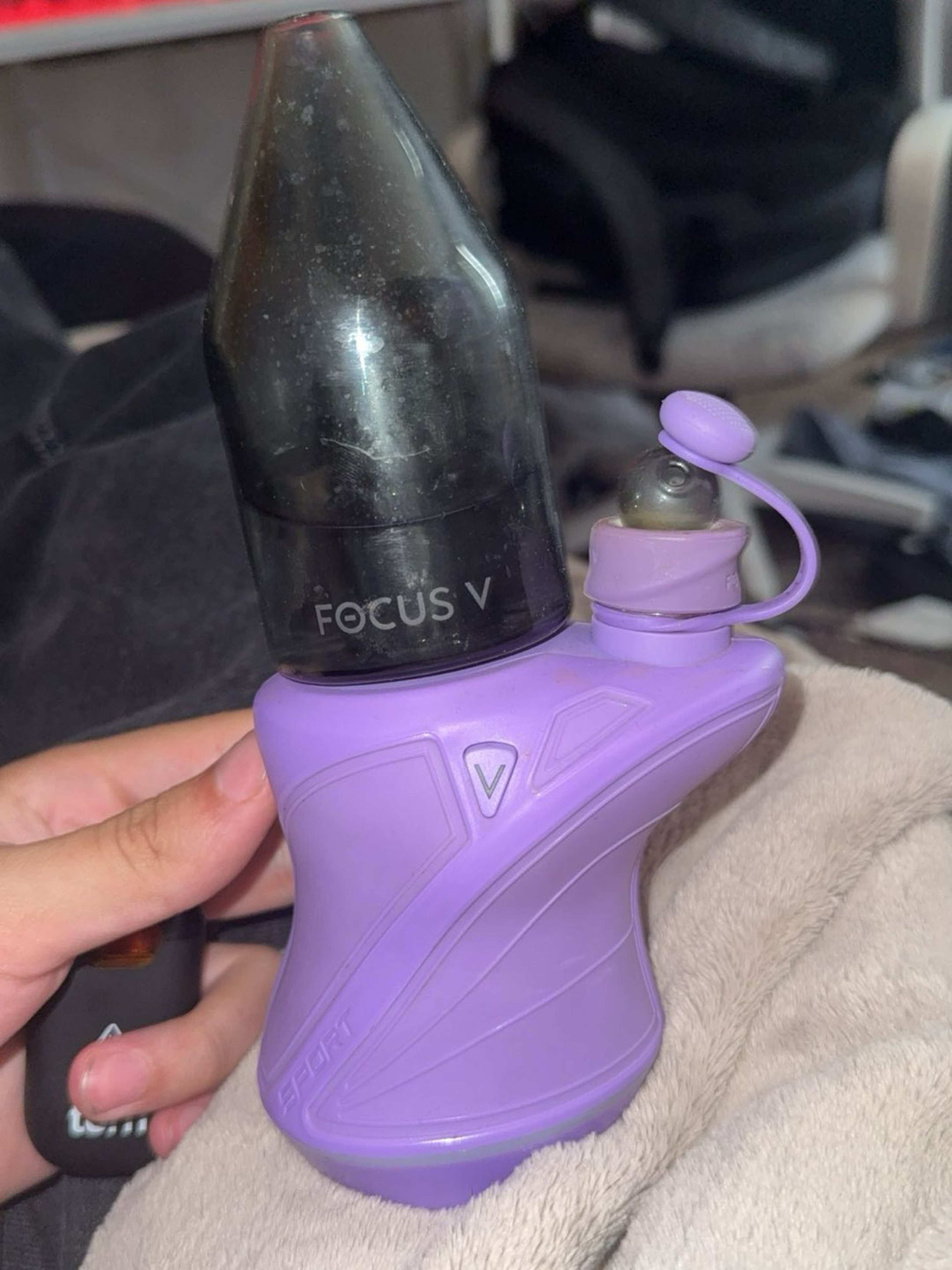 Preview pic of focus v carta sport purple